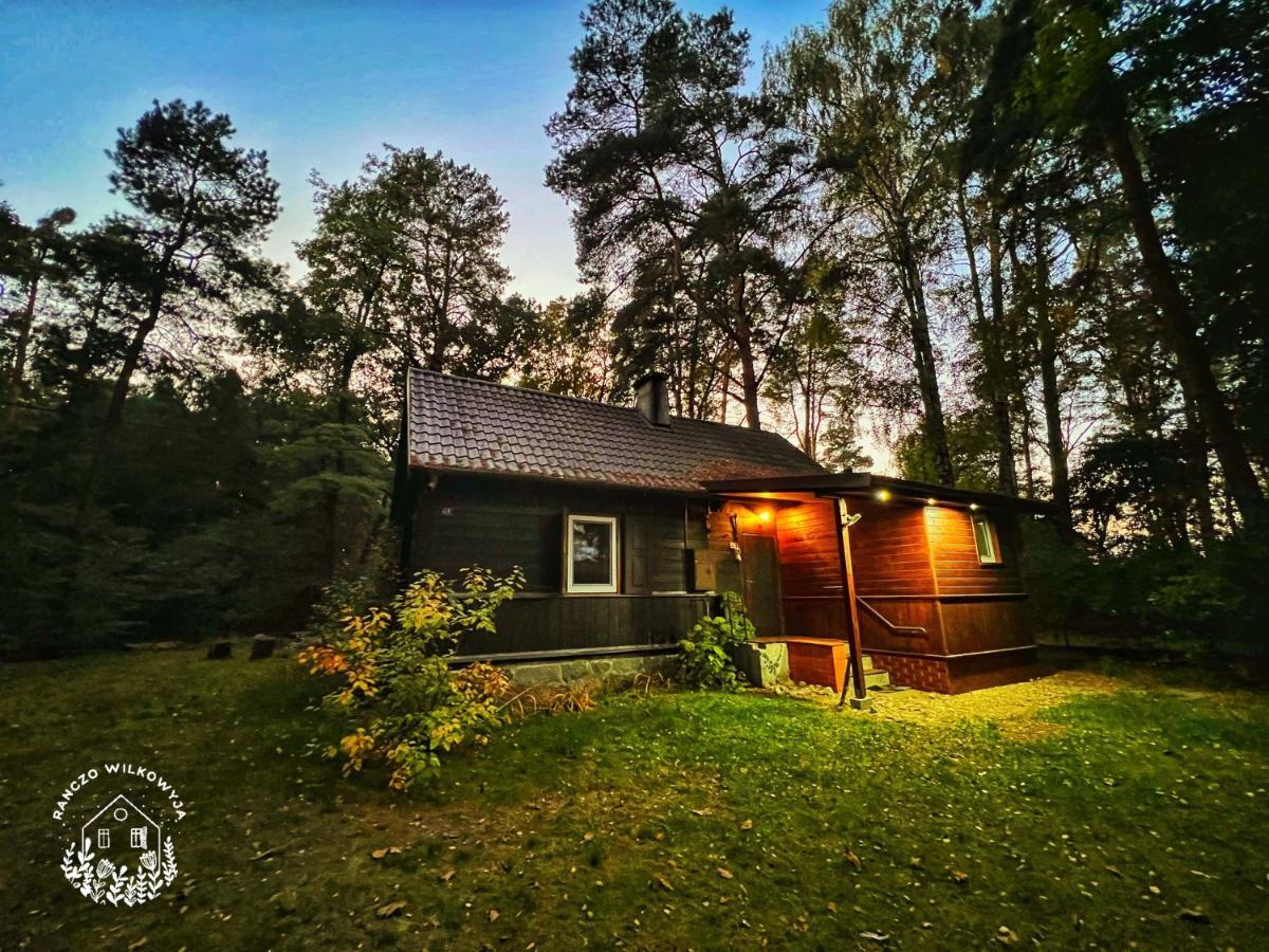 Ranczo Wilkowyja Villa Wilkowyja  Exterior photo